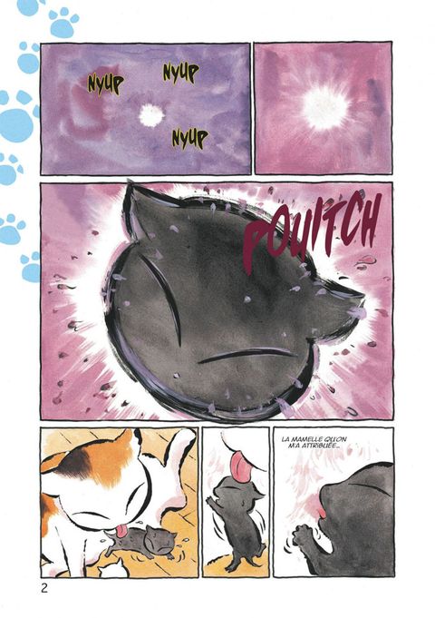 Aperçu de l'album Kuro un Coeur de Chat tome 1
