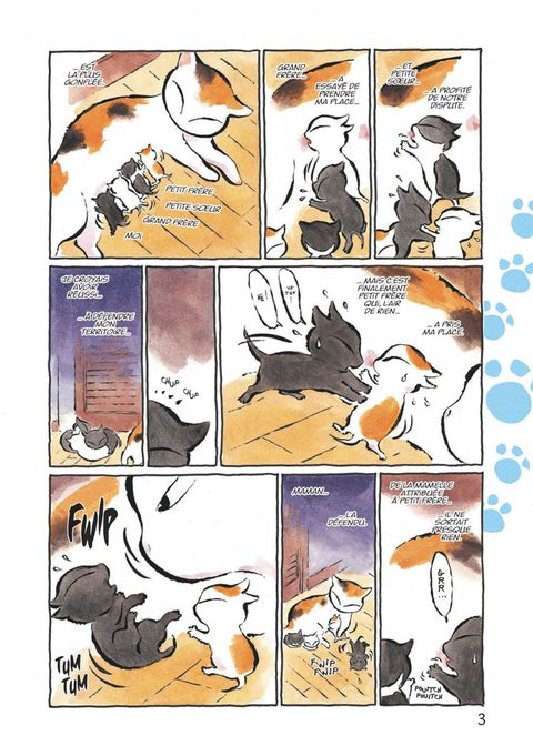 Aperçu de l'album Kuro un Coeur de Chat tome 1