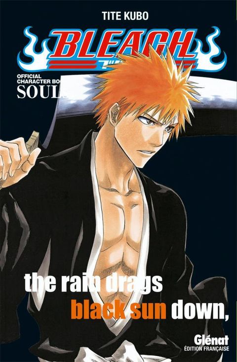 Couverture de l'album Bleach - Databook