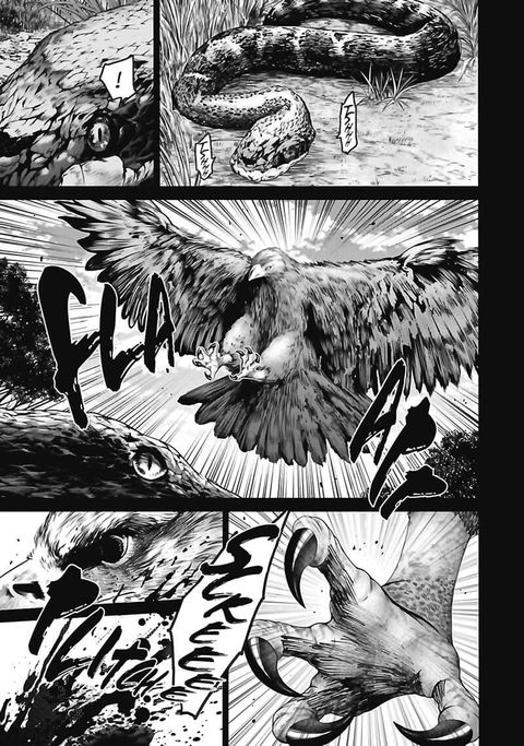 Aperçu de l'album Basilisk - The Oka Ninja Scrolls tome 4