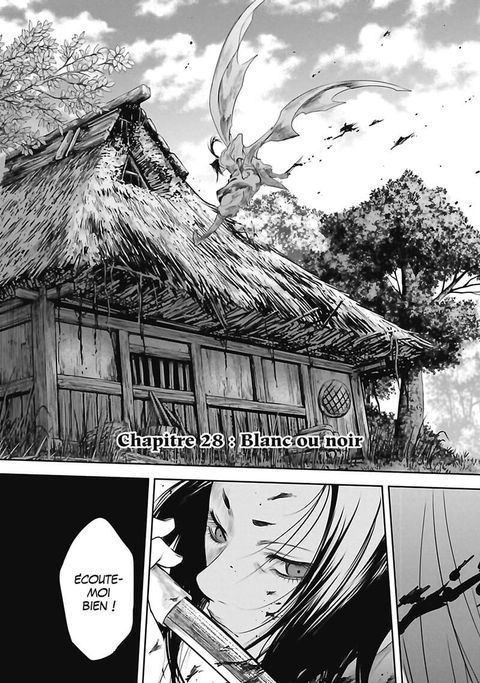 Aperçu de l'album Basilisk - The Oka Ninja Scrolls tome 4