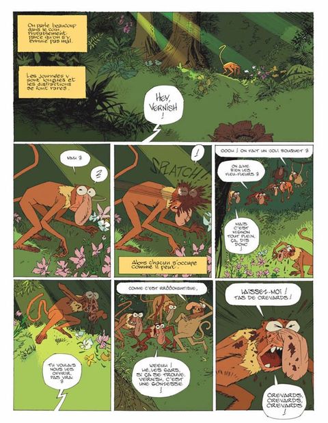 Aperçu de l'album Le Singe qui Aimait les Fleurs - Le singe qui aimait les fleurs