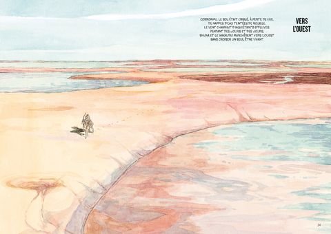 Aperçu de l'album Le voyage de Shuna - Le voyage de shuna