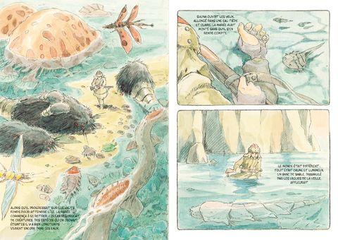 Aperçu de l'album Le voyage de Shuna - Le voyage de shuna