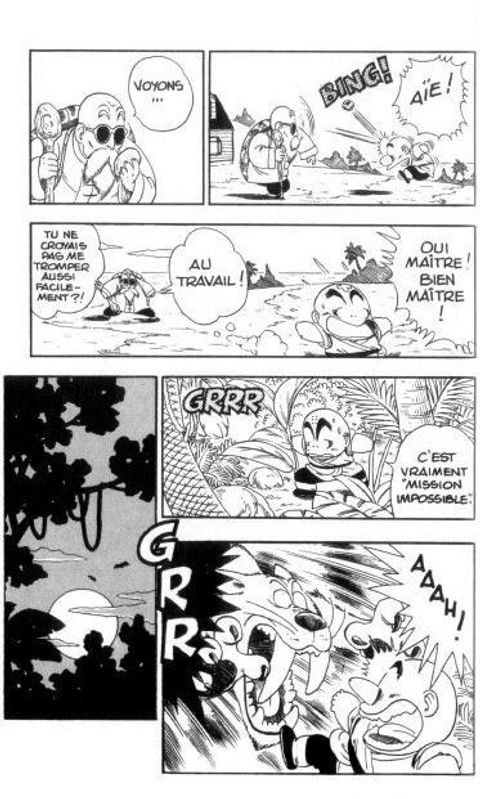 Aperçu de l'album Dragon Ball tome 2