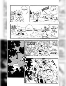Aperçu 3 de l'album Dragon Ball tome 2