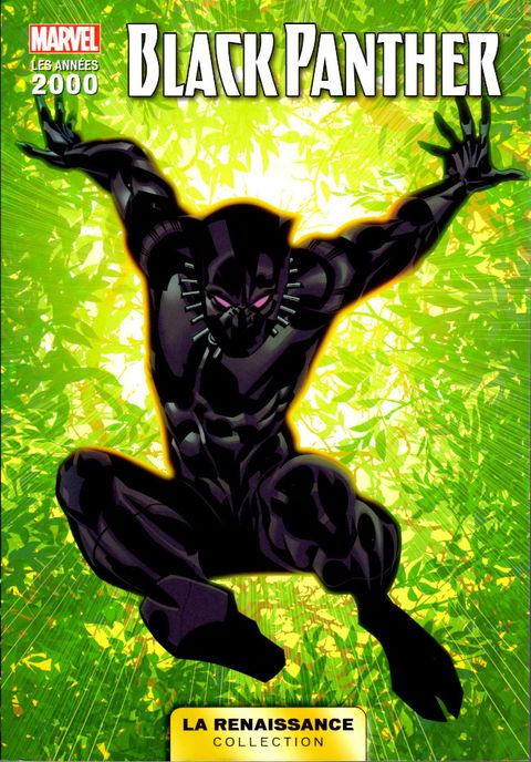 Couverture de l'album Black Panther