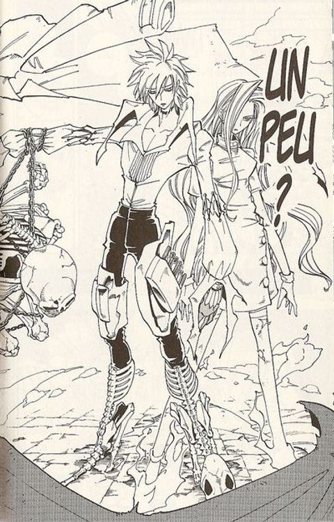Aperçu de l'album Shaman King tome 15