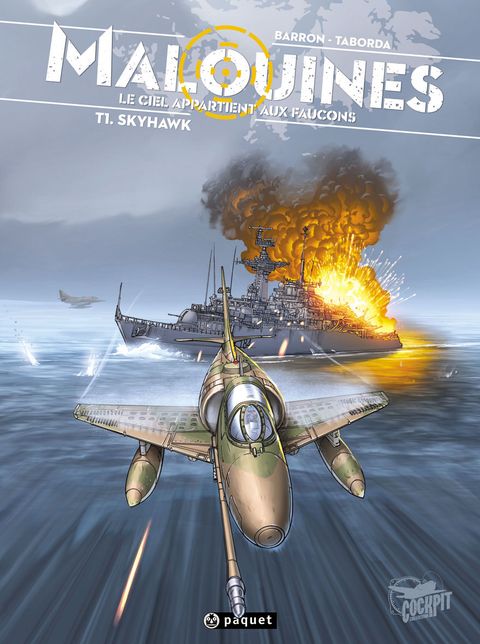 Couverture de l'album Skyhawk