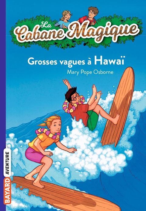 Couverture de l'album Grosses vagues à Hawaï