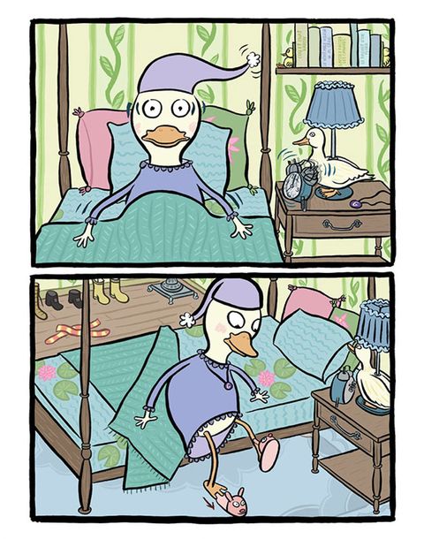 Aperçu de l'album Des Canards Trop Bizarres