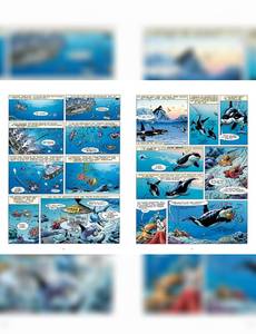 Aperçu 4 de l'album Les animaux marins en bande dessinée  tome 6