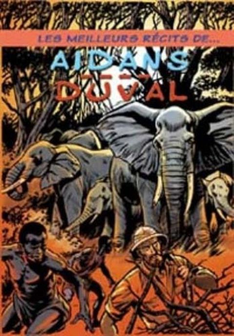 Couverture de l'album Aidans