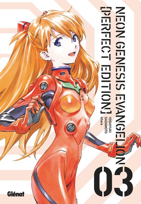Couverture de l'album Neon Genesis Evangelion - Perfect Edition