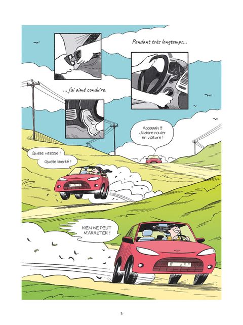 Aperçu de l'album Des bâtons dans les roues - Le récit d'une longue relation automobile