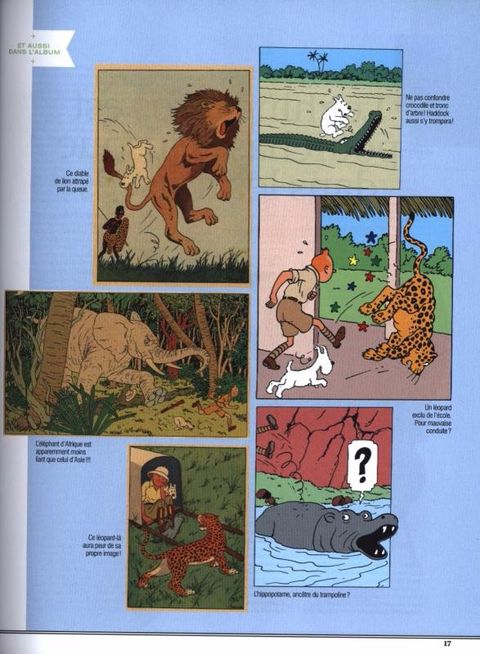 Aperçu de l'album Tintin (Autour de la BD) tome 2015 - Les animaux de Tintin - L’extraordinaire bestiaire de l’oeuvre d’Hergé