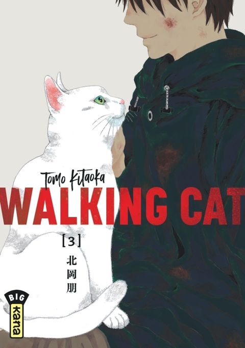 Couverture de l'album Walking Cat