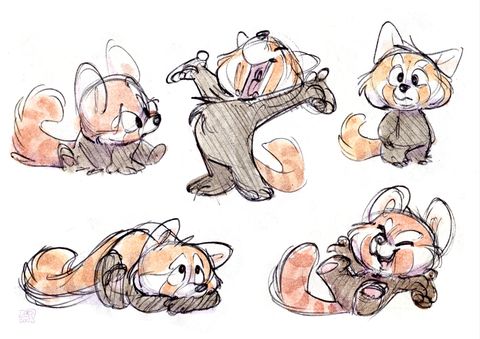 Les pandas roux par dav' print A4 signé