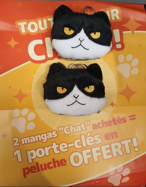 Porte clé Chats des rues (Doki Doki)
