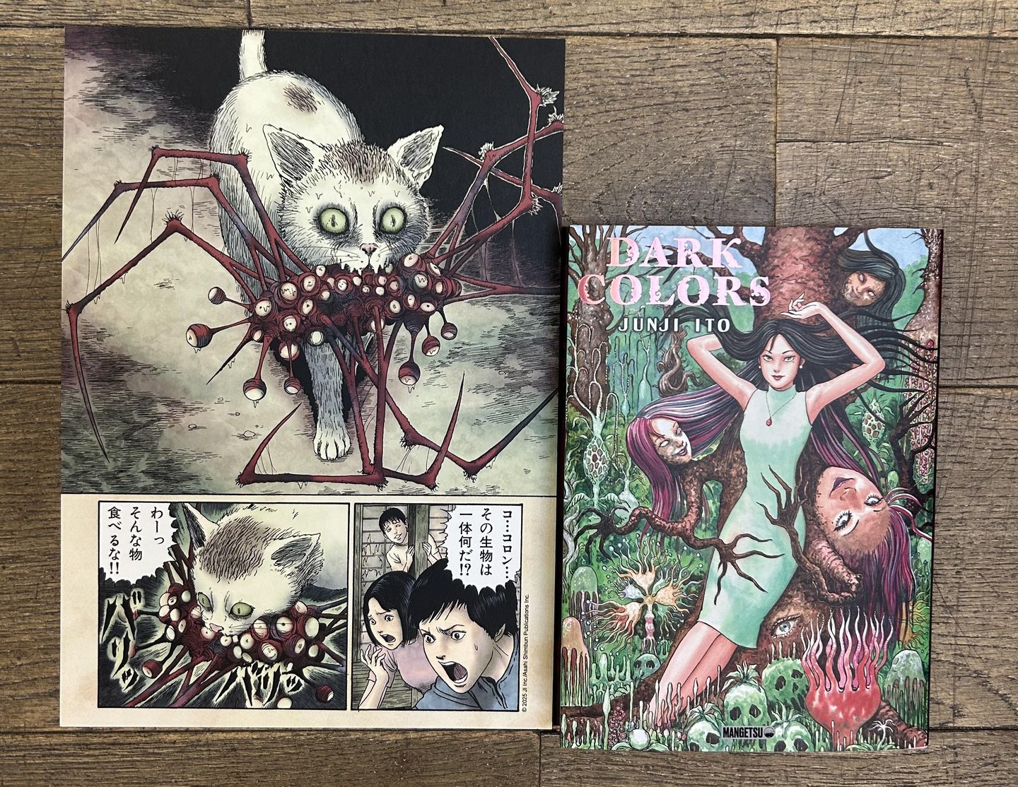 Ex-Libris Dark colors (Junji Ito)