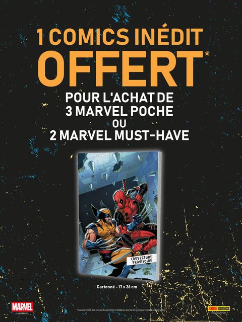 Comics inédit offert