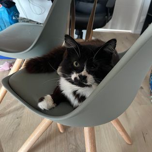 Profil de Guitardtek