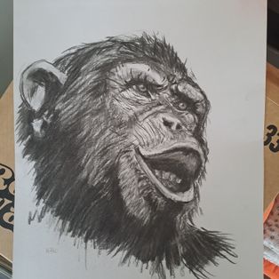 Profil de Wako 