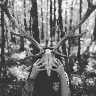 Profil de VoidReaver