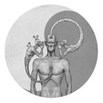 Profil de Tybus