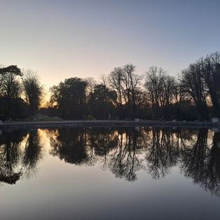 Profil de Killing joke