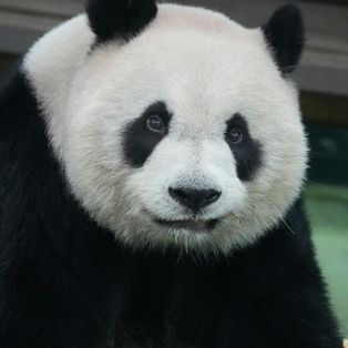 Profil de Régina
