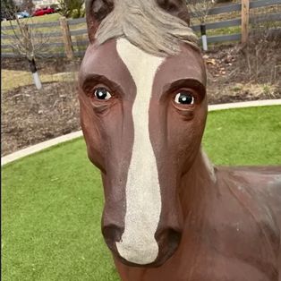 Profil de NoeFrancois